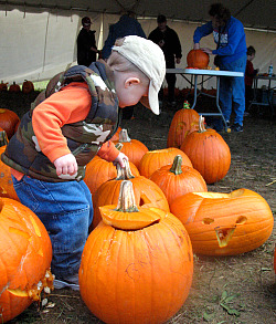 Pumpkinfest Port Elgin