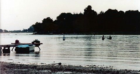 ontario fishing season